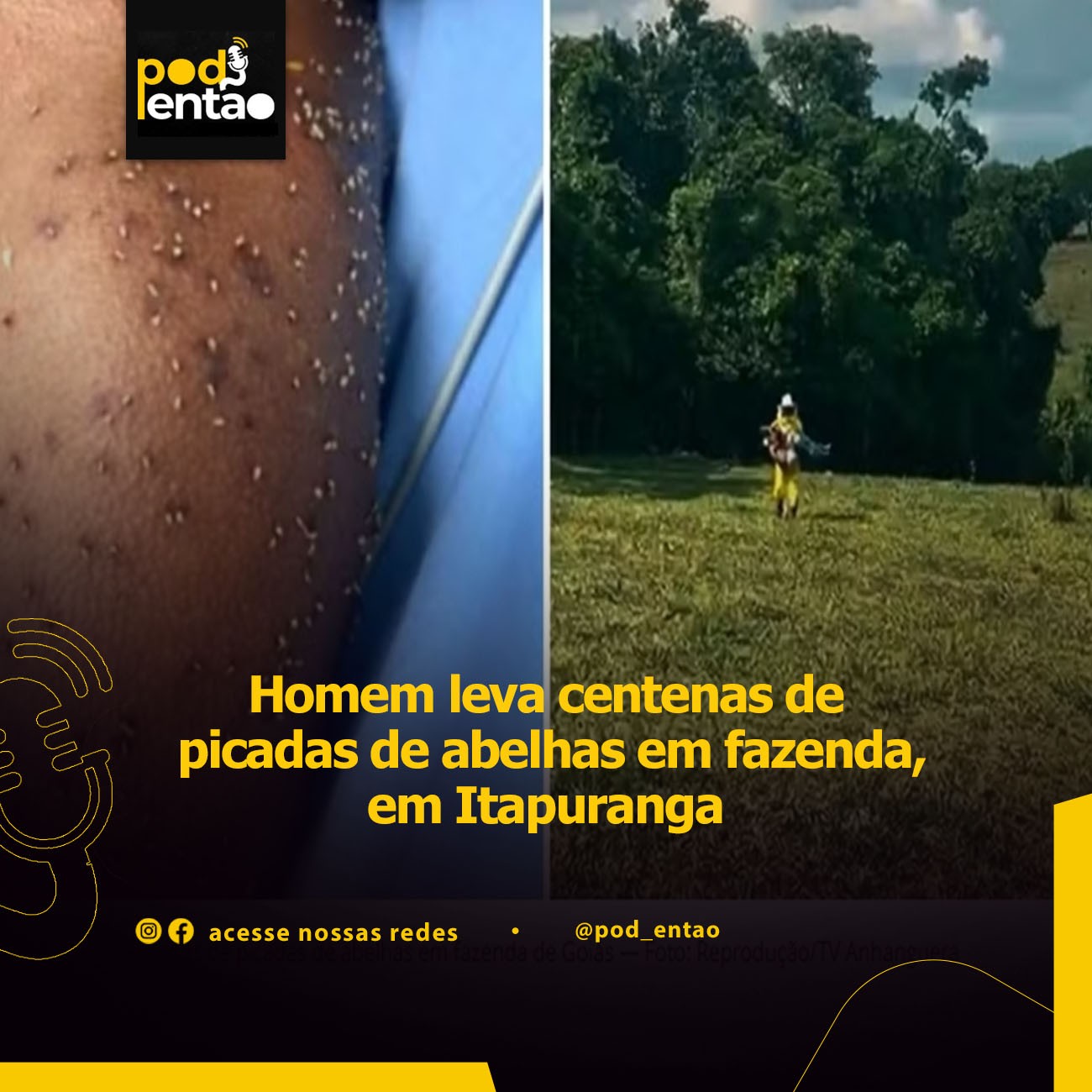 Homem leva centenas de picadas de abelhas em fazenda, em Itapuranga 
