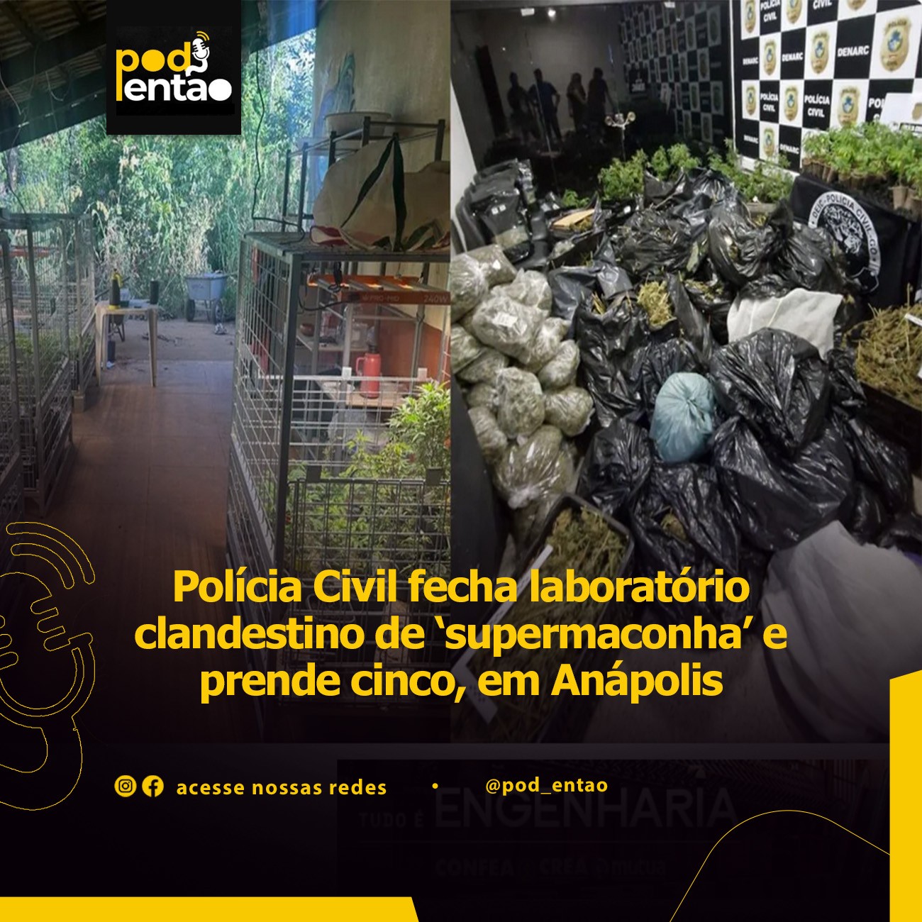 Polícia Civil fecha laboratório clandestino de ‘supermaconha’ e prende cinco, em Anápolis