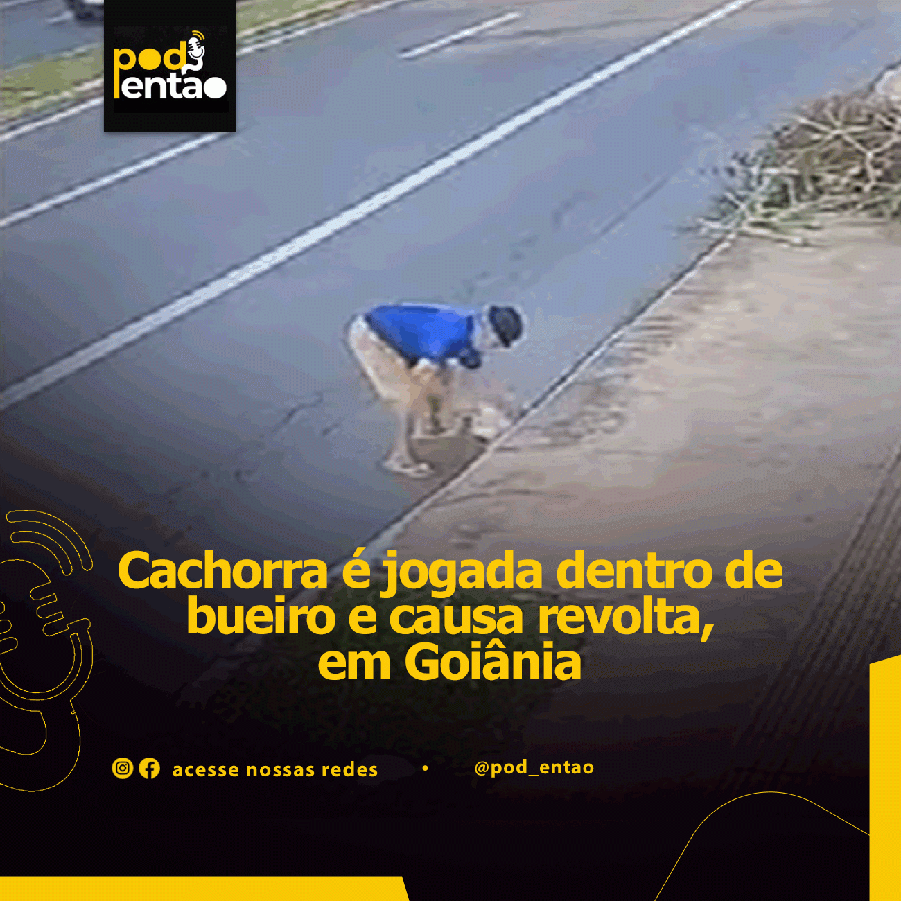Cachorra é jogada dentro de bueiro e causa revolta, em Goiânia